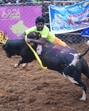 A Jallikattu event at Alanganallur near Madurai, Tamil Nadu (Hemanshi Kamani/ HT)