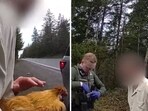 The image shows the man who was arrested for allegedly stealing a chicken from his ex-girlfriend. 