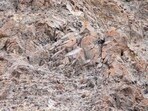 This optical illusion challenges you to spot a hidden snow leopard in 8 seconds. This optical illusion challenges you to spot a hidden snow leopard in 8 seconds.
