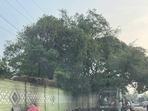 Several users took to social media platform X, sharing photos that showed garbage trucks lined up and piles of waste dumped outside the park.