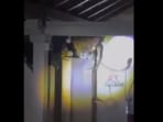 A Gujarat family mistook soft roars for a cat—only to find a lion on their kitchen wall.