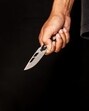 The accused, identified as Sahil Kumar, was addicted to alcohol and worked as a labourer. (HT File) The accused, identified as Sahil Kumar, was addicted to alcohol and worked as a labourer. (HT File)