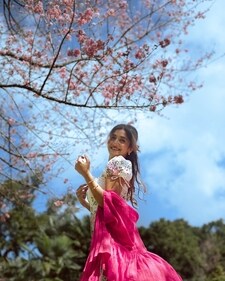 Soak in the pink magic at Shillong (Larissa D’Sa) Soak in the pink magic at Shillong (Larissa D’Sa)