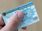 The Trump administration's immigration policy updates include a new version of Form I-485, requiring financial disclosures and in-person interviews for married couples' green cards. (Representational image) The Trump administration's immigration policy updates include a new version of Form I-485, requiring financial disclosures and in-person interviews for married couples' green cards. (Representational image)