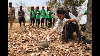 A final group continues to undergo rehabilitation and is expected to be considered for release in due course, said a senior official from the Pune Forest Department. (HT) A final group continues to undergo rehabilitation and is expected to be considered for release in due course, said a senior official from the Pune Forest Department. (HT)