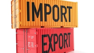 Indian industry has expressed concern about a potential influx of imports through the ASEAN route. (Representational) Indian industry has expressed concern about a potential influx of imports through the ASEAN route. (Representational)