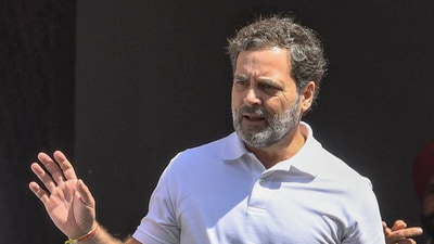 Leader of Opposition in the Lok Sabha Rahul Gandhi (ANI) Leader of Opposition in the Lok Sabha Rahul Gandhi (ANI)