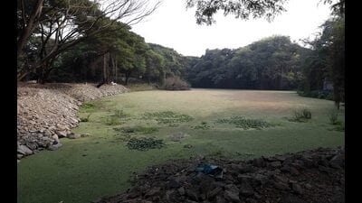 The landowners should provide the required documents to the civic employees engaged in the survey. A report on the same will be submitted to the high court, says official. (REPRESENTATIVE PHOTO)