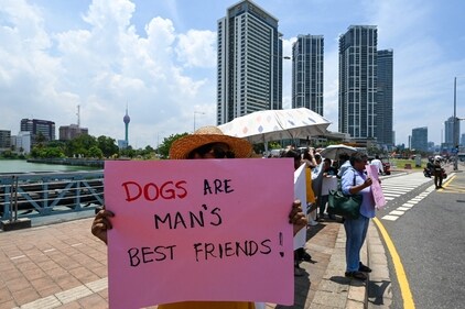 Sri Lankan animal rights activists take part in a demonstration in Colombo on April 3, 2025, to protest the round-up of stray dogs a day ahead of a visit by Indian Prime Minister Narendra Modi. (Photo by Ishara S. KODIKARA / AFP) (AFP) Sri Lankan animal rights activists take part in a demonstration in Colombo on April 3, 2025, to protest the round-up of stray dogs a day ahead of a visit by Indian Prime Minister Narendra Modi. (Photo by Ishara S. KODIKARA / AFP) (AFP)
