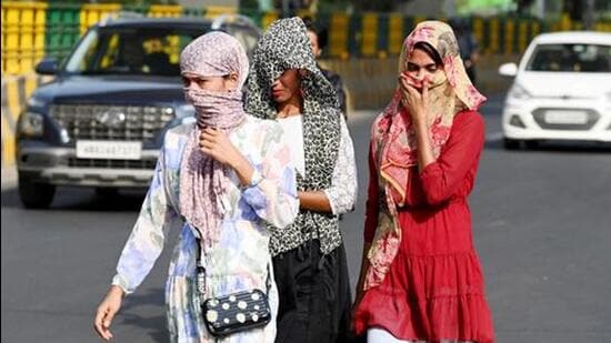 The highest maximum temperature on Friday was recorded at Bhuj, 44.5°C. (File photo)