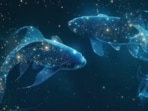 The dark side of Pisces The dark side of Pisces