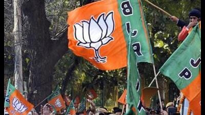 Celebrations were held at various organisational levels across the state. (ANI) Celebrations were held at various organisational levels across the state. (ANI)