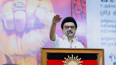 Tamil Nadu chief minister MK Stalin. (File photo) Tamil Nadu chief minister MK Stalin. (File photo)