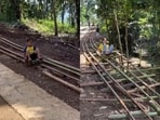 A viral video showed kids riding a bamboo roller coaster.
