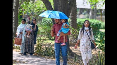 According to the official forecast, the city will continue to experience above normal temperatures with dry weather conditions for the next two to three days as there is no strong system active over Maharashtra during this period. (REPRESENTATIVE PIC) According to the official forecast, the city will continue to experience above normal temperatures with dry weather conditions for the next two to three days as there is no strong system active over Maharashtra during this period. (REPRESENTATIVE PIC)