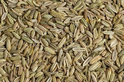 Fennel seeds are good for digestion. (Shutterstock) Fennel seeds are good for digestion. (Shutterstock)