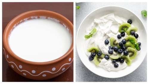 Curd and yoghurt are popular sources of probiotics. (Shutterstock) Curd and yoghurt are popular sources of probiotics. (Shutterstock)