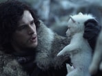 In the George RR Martin's Game of Thrones universe, dire wolves are huge, legendary creatures deeply connected to the Stark family, serving as loyal companions and powerful symbols of their resilience and identity.