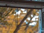 After raping and murdering the girl, the man took the girl's body to the bathroom of his house and pushed it from an open window there, police said. After raping and murdering the girl, the man took the girl's body to the bathroom of his house and pushed it from an open window there, police said.