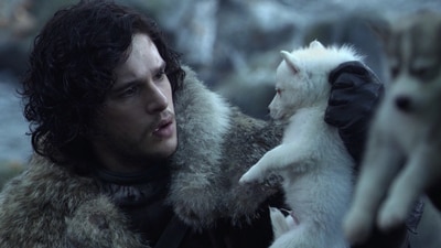 In the George RR Martin's Game of Thrones universe, dire wolves are huge, legendary creatures deeply connected to the Stark family, serving as loyal companions and powerful symbols of their resilience and identity. (HBO)