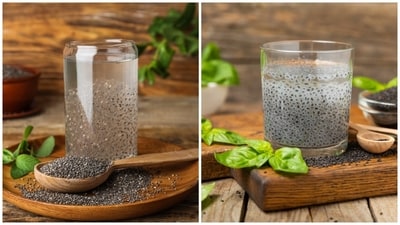 Chia seeds vs sabja seeds - which is more beneficial for weight loss? (Shutterstock) Chia seeds vs sabja seeds - which is more beneficial for weight loss? (Shutterstock)