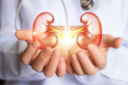 Diabetes, hypertension, obesity, constant and recurrence urinary infections and other lifestyle disorders can lead to kidney related ailments. (HT/PHOTO) Diabetes, hypertension, obesity, constant and recurrence urinary infections and other lifestyle disorders can lead to kidney related ailments. (HT/PHOTO)