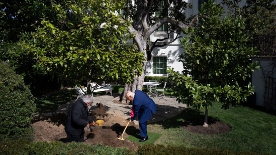 US President Donald Trump took part in planting a new tree as a symbolic gesture on Tuesday. (White House - X)