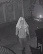 A masked man captured in the CCTV footage of a house in Sector 6, Panchkula. (HT Photo) A masked man captured in the CCTV footage of a house in Sector 6, Panchkula. (HT Photo)