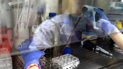 A researcher works inside a laboratory to develop an mRNA type vaccine. (Reuters File Photo) A researcher works inside a laboratory to develop an mRNA type vaccine. (Reuters File Photo)