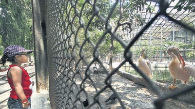 Mumbai...9th April, 2011...news... Byculla Zoo in Mumbai - HT Photo by Puneet Chandhok (Hindustan Times)
