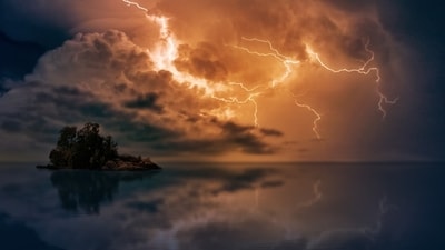 Almendro’ (Dipteryx oleifera) thrives after being struck by lightning. (Representational Image/ Pixabay) Almendro’ (Dipteryx oleifera) thrives after being struck by lightning. (Representational Image/ Pixabay)