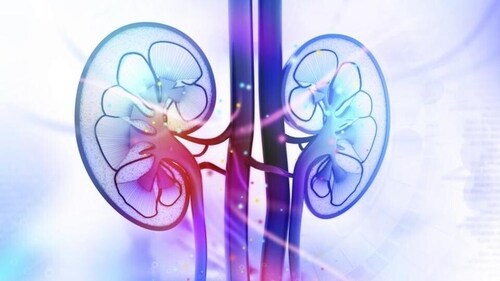 Women are at a higher risk of developing CKD. The prevalence of the disease in women is 14% on an average, while in men, it’s 12%. ((Representative image/istock))
