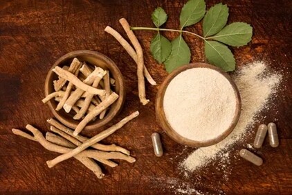 Ashwagandha helps in regulating the stress response of the body, thereby regulating the Cortisol hormone. (Unsplash) Ashwagandha helps in regulating the stress response of the body, thereby regulating the Cortisol hormone. (Unsplash)
