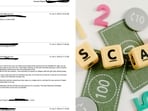 The IIT grad noted that the scammer was “professional” in their language. The IIT grad noted that the scammer was “professional” in their language.