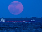 Full Pink Moon rising over Kent Island in Chesapeake Bay, Maryland.