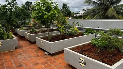 A roof garden at one of the apartments in Mysuru.