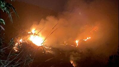 The blazes were brought under control by March 28 with the help of villagers living near the park, but some areas continue to smoulder, said officials, ruling out the possibility of a larger wildfire developing.