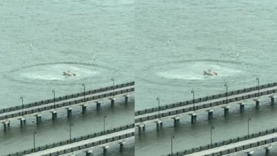 A helicopter crashed in the Hudson River on Thursday (X/AZ Intel) A helicopter crashed in the Hudson River on Thursday (X/AZ Intel)