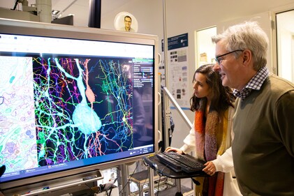Researchers R. Clay Reid and Leila Elabbady examine data from the MICrONS project at an Allen Institute laboratory in Seattle, US. (via REUTERS)