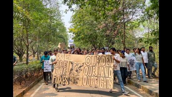 It is true that the green patch in UoH-Kancha Gachibowli is not officially classified as a forest. But it is one of the most biodiverse areas in the city (PTI)