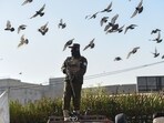 A Taliban security personnel member stands guard in Kabul. A Taliban security personnel member stands guard in Kabul.