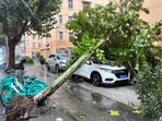 Beijing in lockdown mode: Flights delayed, parks closed amid wild windstorm.