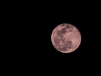 The Super Pink Moon, peaking on April 12, 2025, promises a stunning sight for skywatchers. The Super Pink Moon, peaking on April 12, 2025, promises a stunning sight for skywatchers.