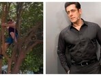 Salman Khan showcased his agility and strength while climbing a tree. Salman Khan showcased his agility and strength while climbing a tree.