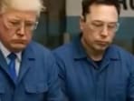 The satirical videos emerge amid rising trade tensions between the United States and China.