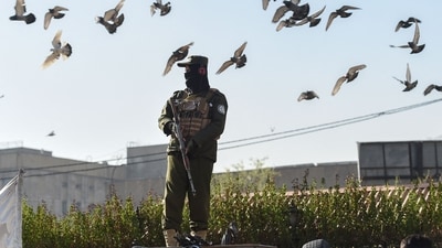 A Taliban security personnel member stands guard in Kabul. (AFP) A Taliban security personnel member stands guard in Kabul. (AFP)