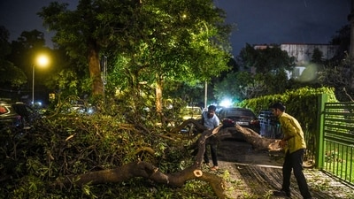 While no major damage was reported, in some areas, trees fell due to the strong wind. (Amit Sharma/ANI) While no major damage was reported, in some areas, trees fell due to the strong wind. (Amit Sharma/ANI)
