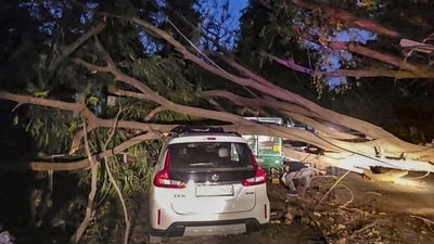 Fallen tree branches on an arterial road in Gurugram. (PTI) Fallen tree branches on an arterial road in Gurugram. (PTI)