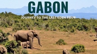 Would you take a boat, hike through forests and stay in a wooden hut? Welcome to Gabon’s best-kept secret in Africa. (Image by X/tourismcampaign) Would you take a boat, hike through forests and stay in a wooden hut? Welcome to Gabon’s best-kept secret in Africa. (Image by X/tourismcampaign)