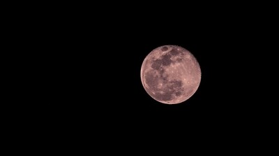 The Super Pink Moon, peaking on April 12, 2025, promises a stunning sight for skywatchers. (Representational Image- Unsplash ) The Super Pink Moon, peaking on April 12, 2025, promises a stunning sight for skywatchers. (Representational Image- Unsplash )